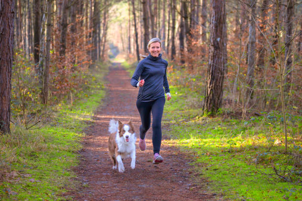 files/Femme_chien_foret.jpg